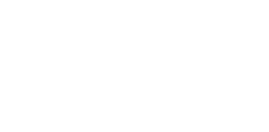 KLM partner Vibe Group