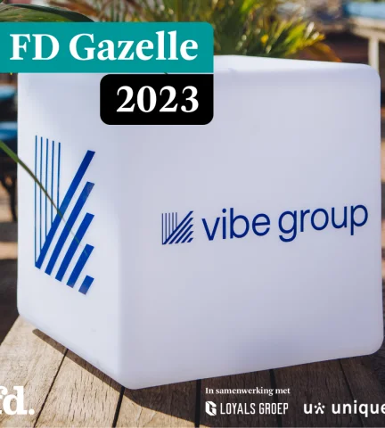Vibe Group news